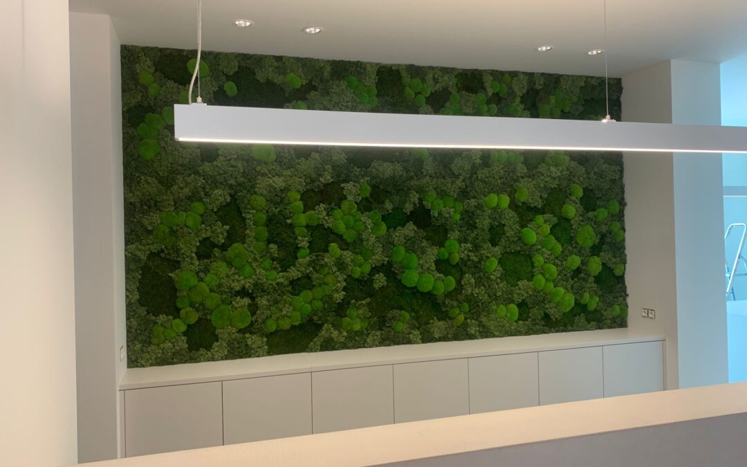 Advies, vormgeving & onderhoud van beplanting