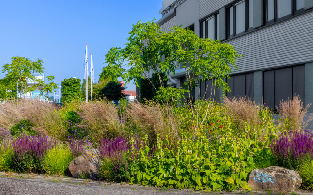 Creëren van groene, gezonde en inspirerende omgevingen