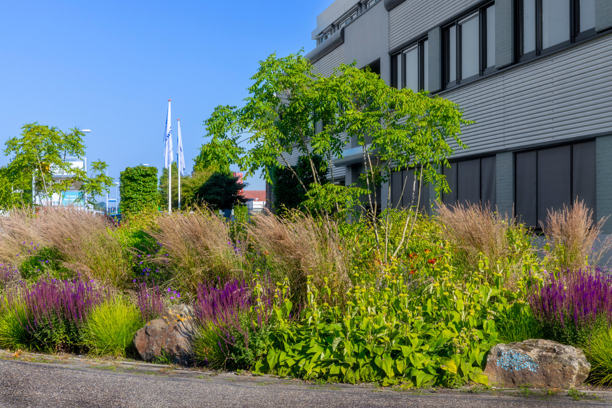 Creëren van groene, gezonde en inspirerende omgevingen