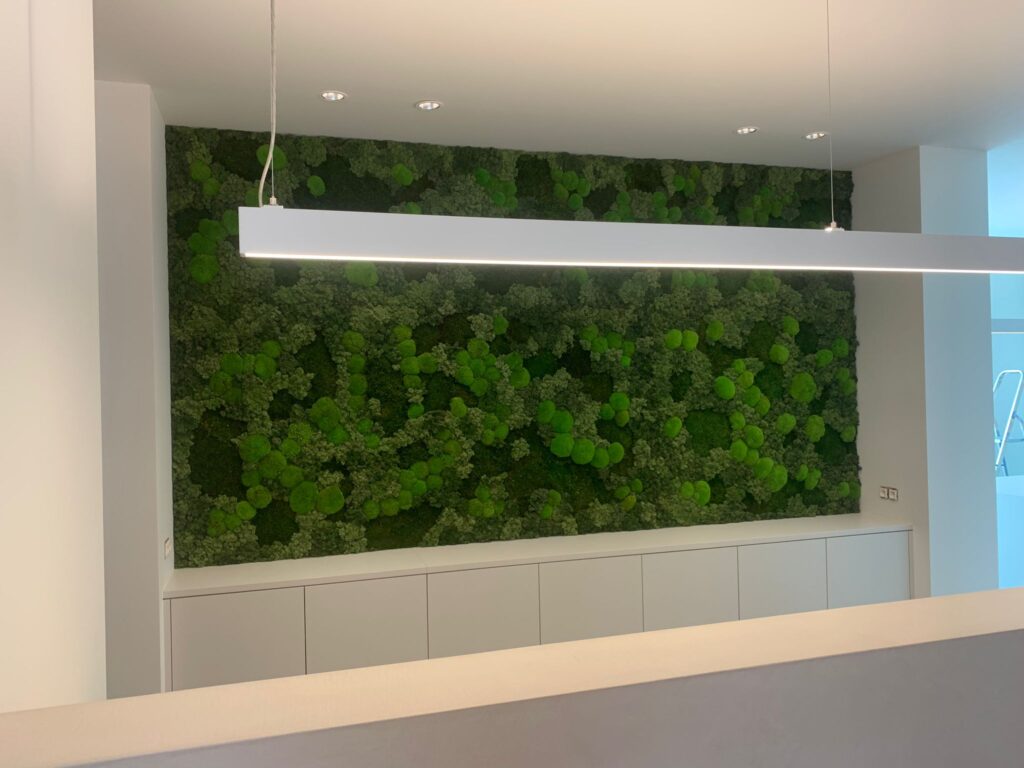 Moswanden voor een groenere werkomgeving