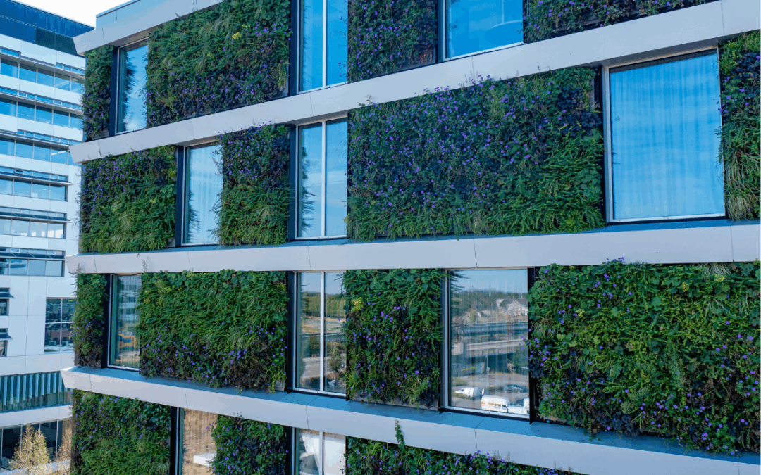 Waar is een groene gevel een oplossing voor?