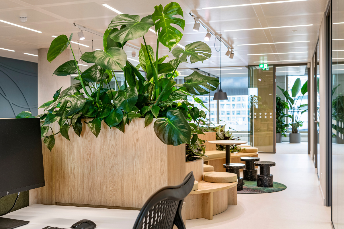 Medewerkers functioneren beter in een biophilische omgeving