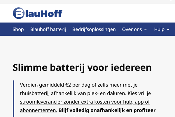 Voor zakelijke energieopslag: van MKB tot zorginstelling