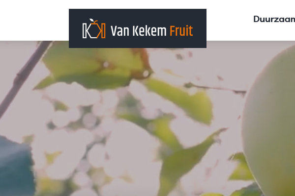 Fruit en groente voor onderwijs- of zorginstelling