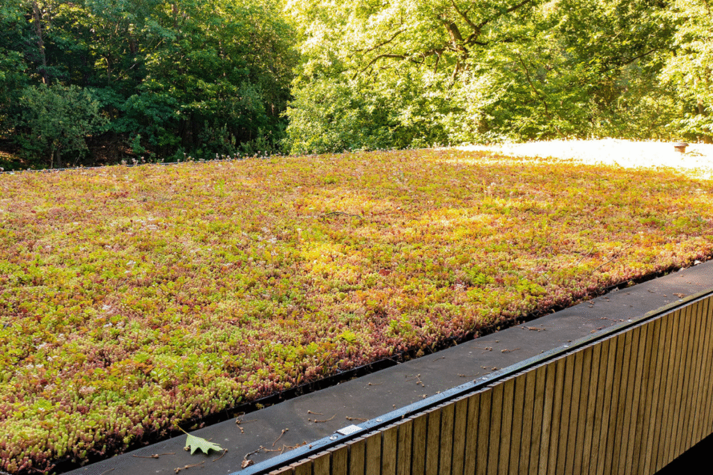 Dat Doet Groen, deskundig in groendaken