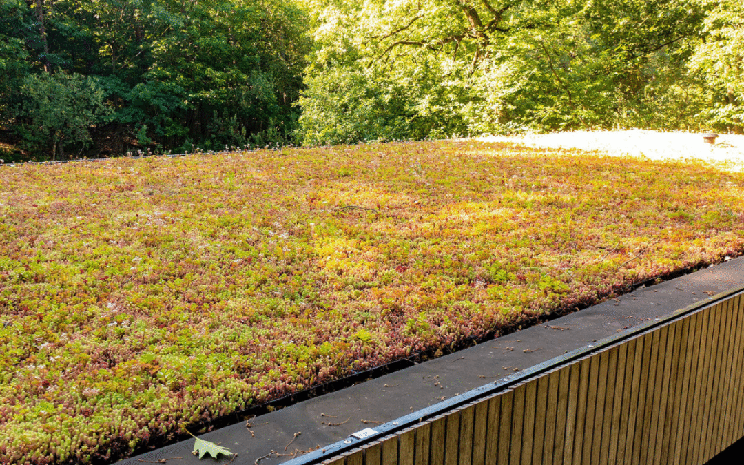 Dat Doet Groen, deskundig in groendaken