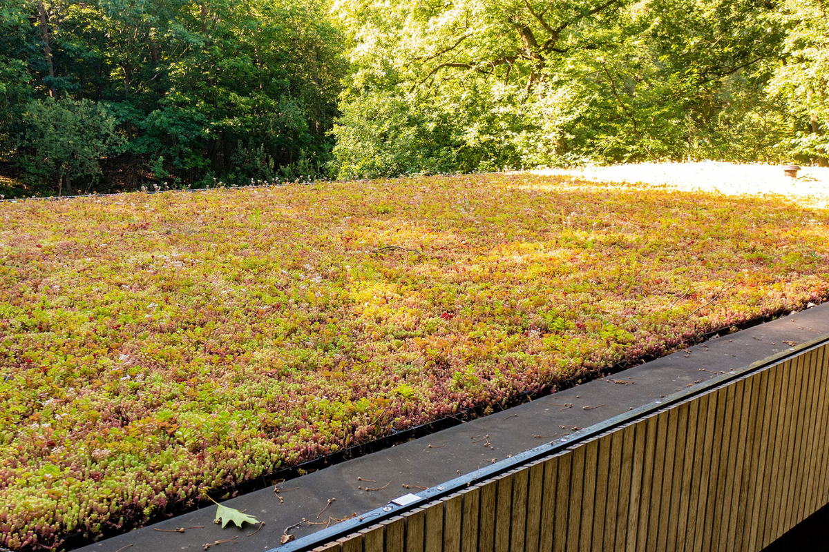 Dat Doet Groen, deskundig in groendaken