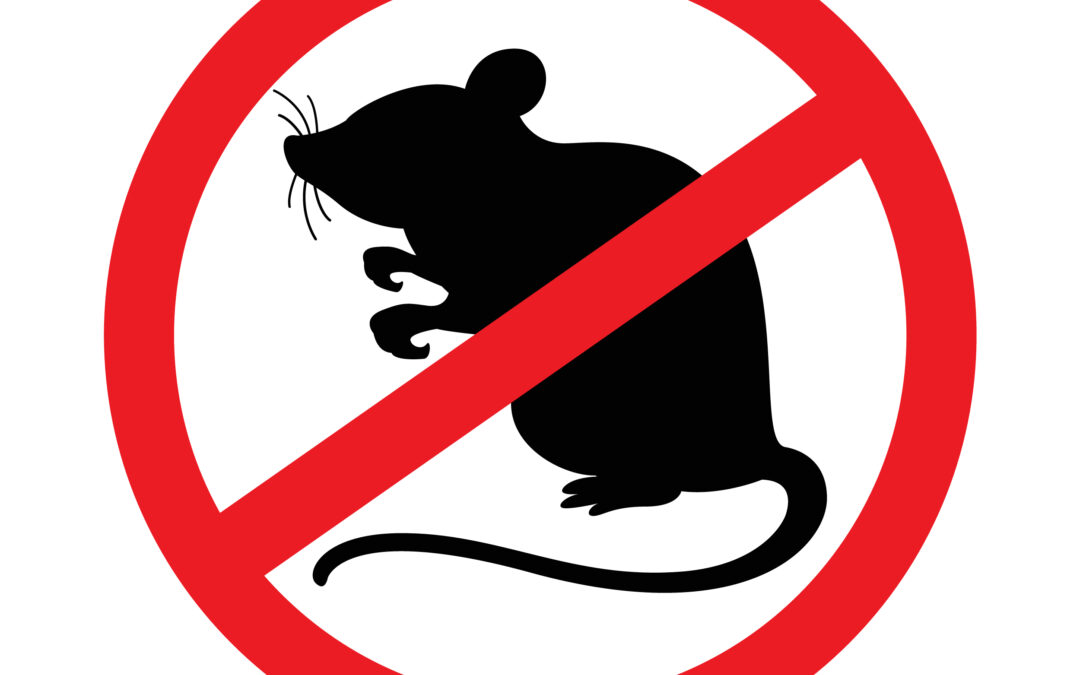 Geen organisatie ontkomt aan plaagdierbestrijding