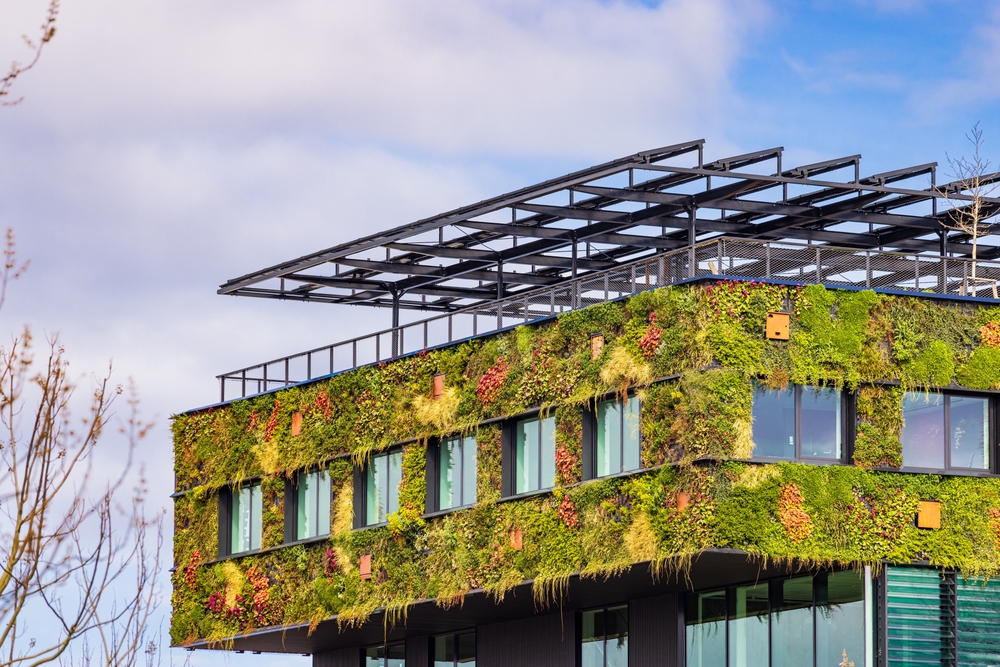 Verbouw en renovatie van de kantooromgeving