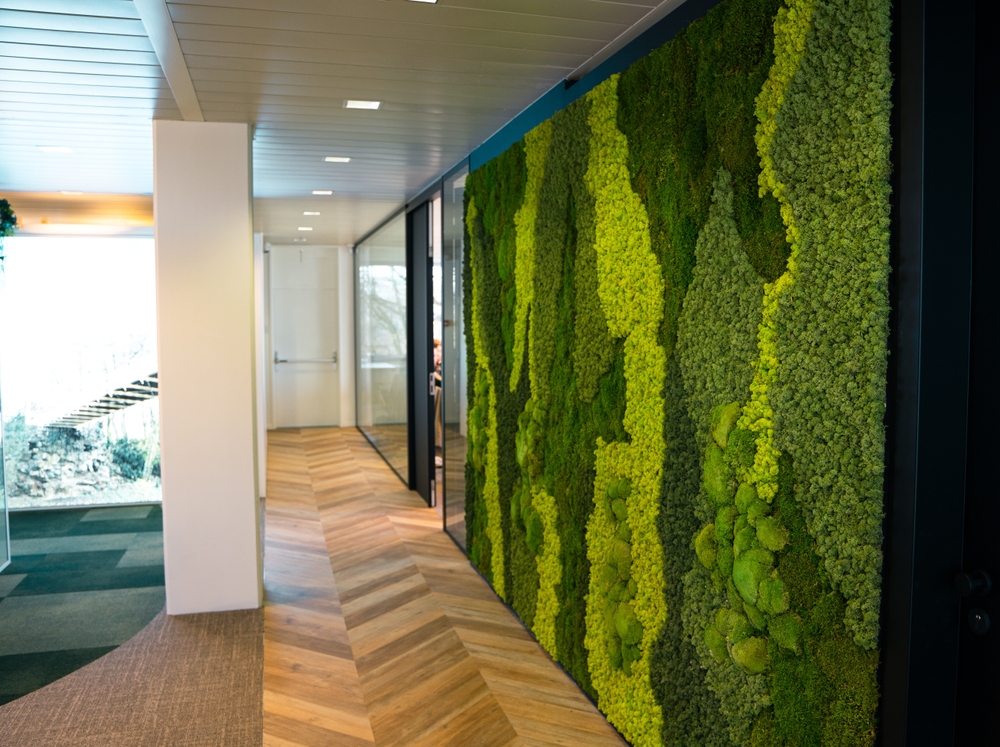 Green,Moss,Wall,Panel,In,Office,For,Greenoffice