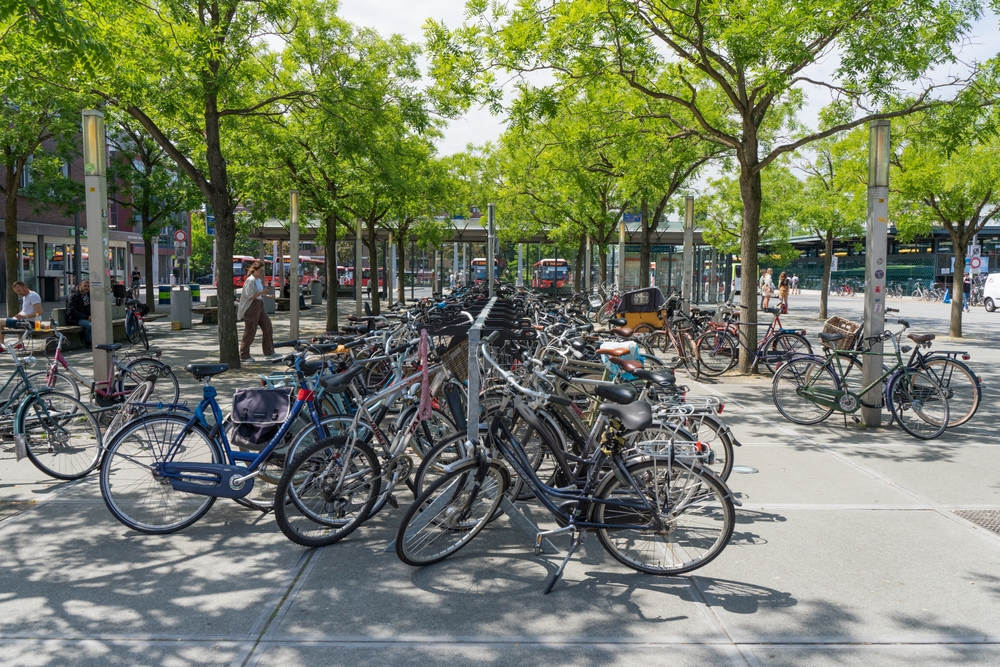 Fietsparkeren tegen bomen: duurzame oplossingen voor bedrijfsterreinen