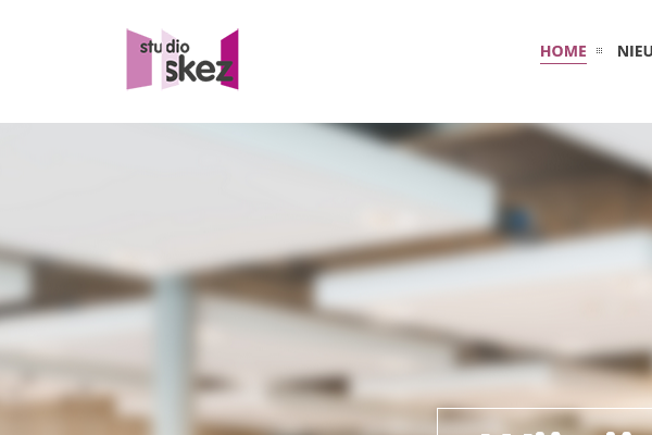 studio-skez-afbeelding-bedrijfsprofiel