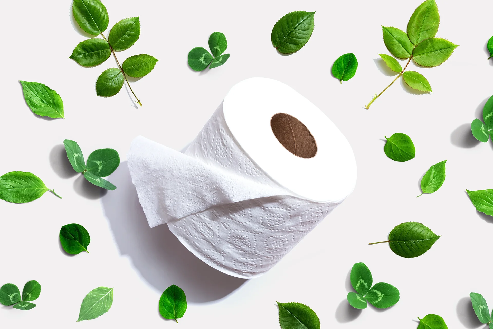 Duurzamer toiletpapier in de toekomst