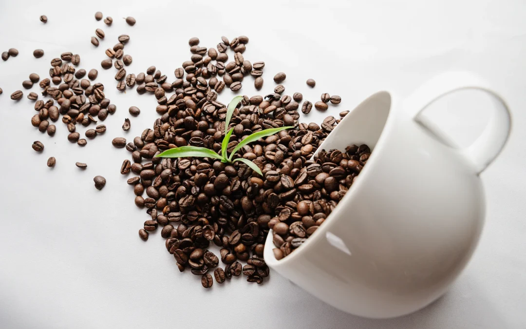 Meer duurzaam koffiedrinken om de ecologische voetafdruk te verlagen