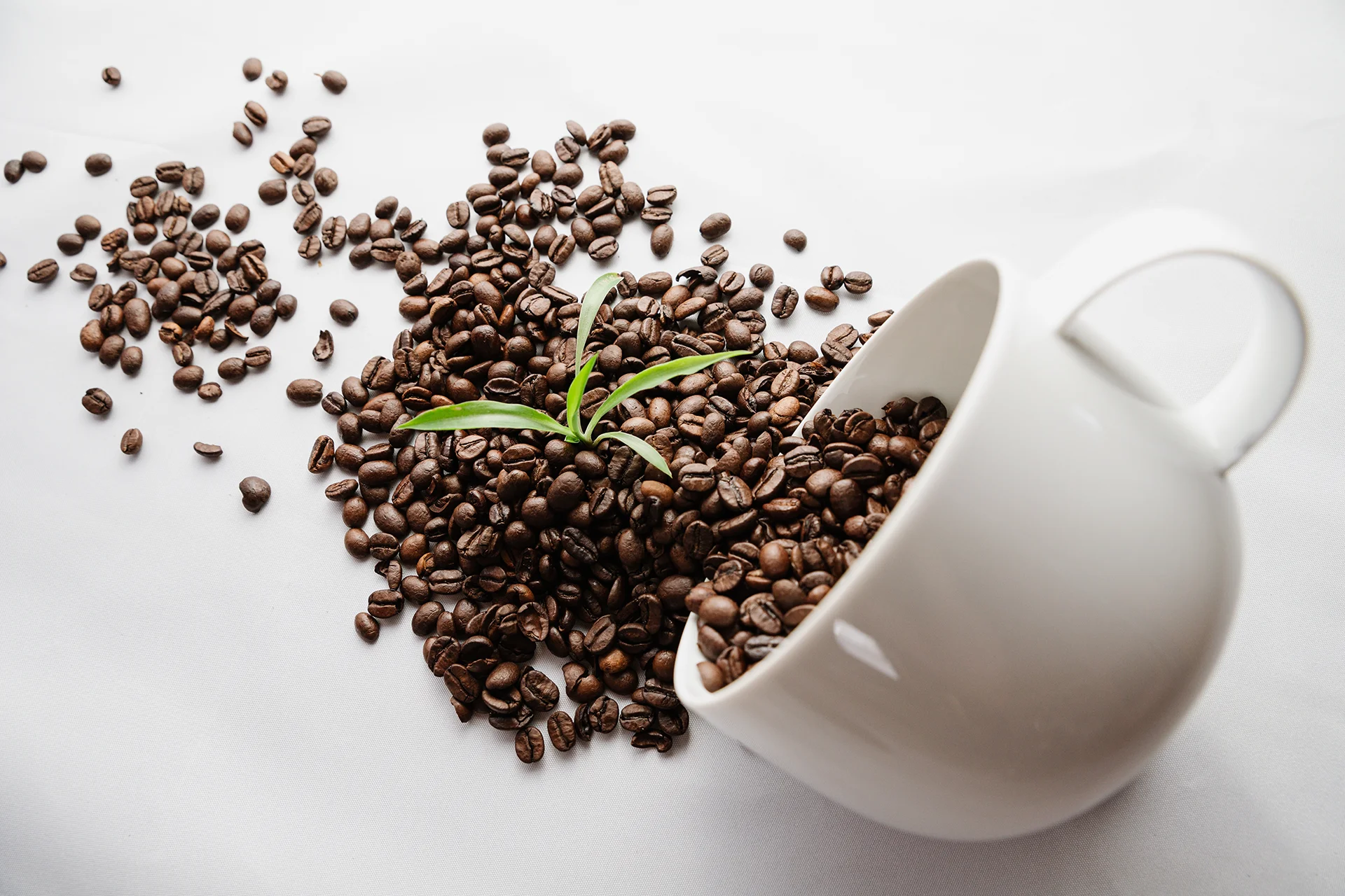 Duurzaam koffiedrinken om de ecologische voetafdruk te verlagen