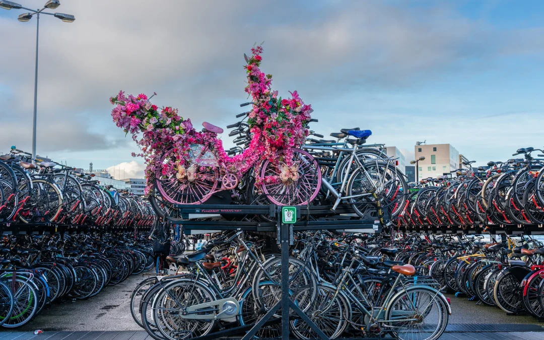 Steeds meer fietsparkeeroplossingen sluiten aan op elk type fiets