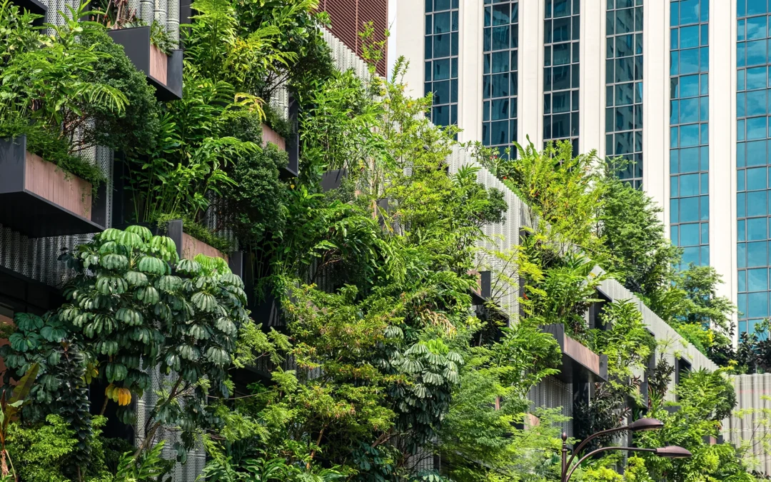 Bewustwording vergroening zorgt voor een duurzamere uitstraling