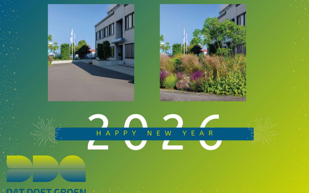 Een groen licht voor het nieuwe jaar