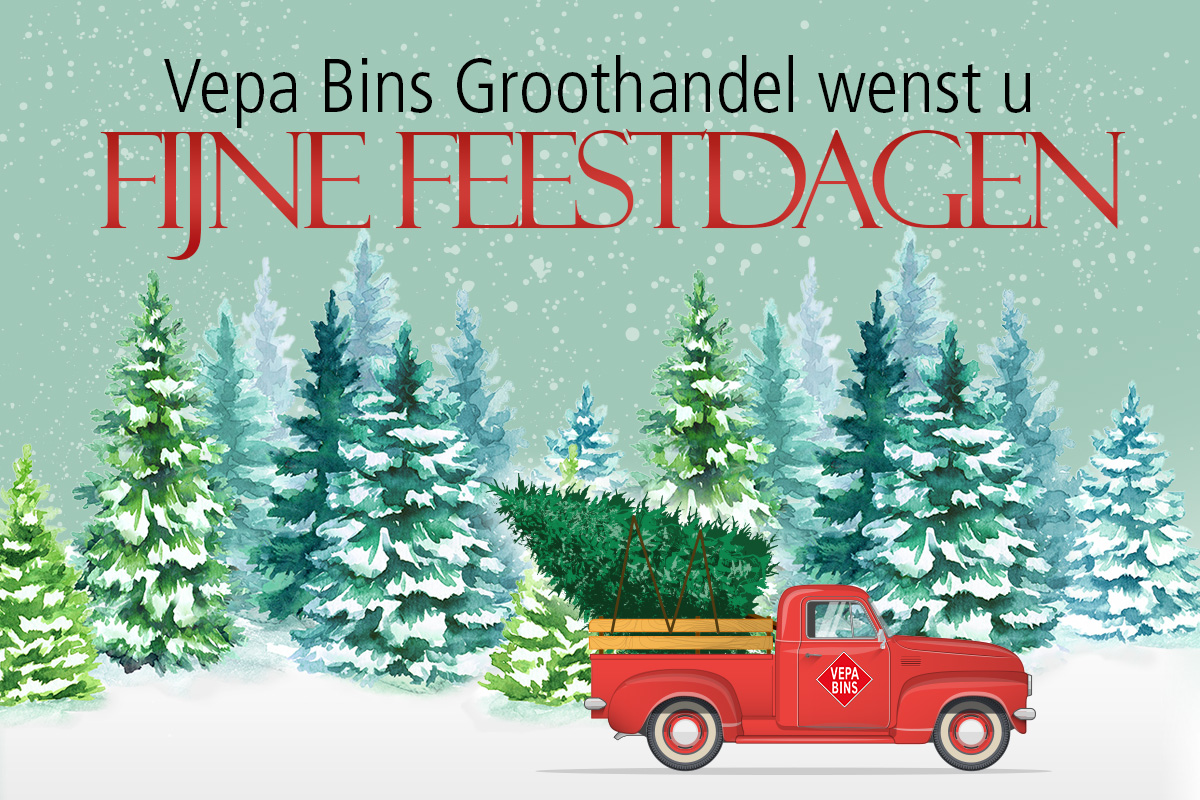 Vepa Bins wenst u fijne feestdagen en een mooi uiteinde!