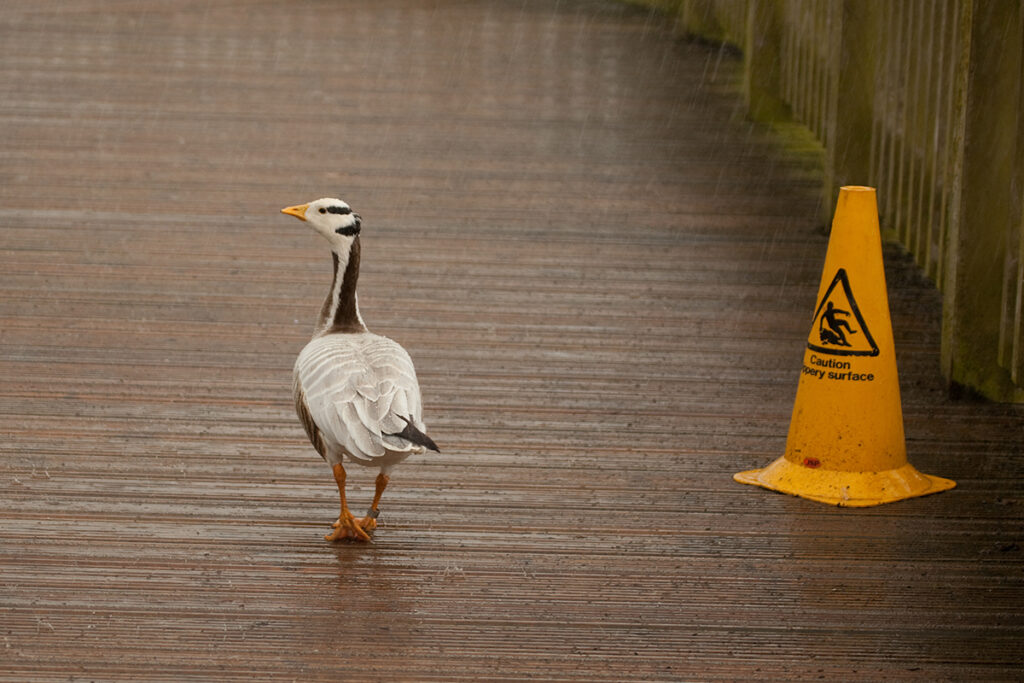 De juiste antislipoplossing voor elke situatie