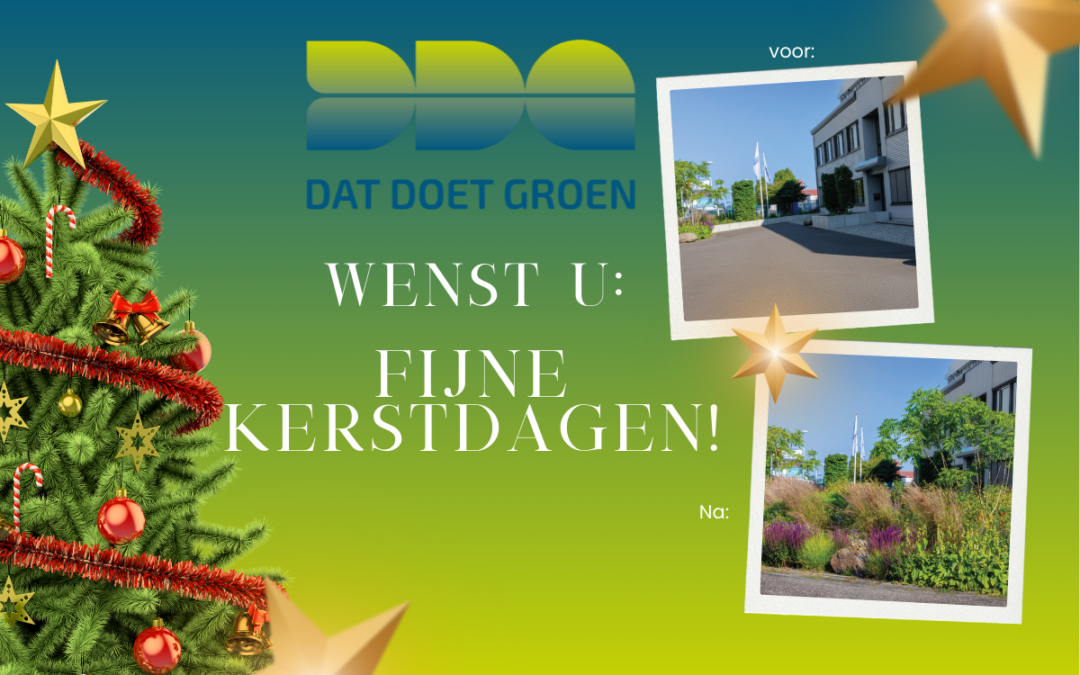 Groener dan een kerstboom: zo wensen wij je de Feestdagen toe