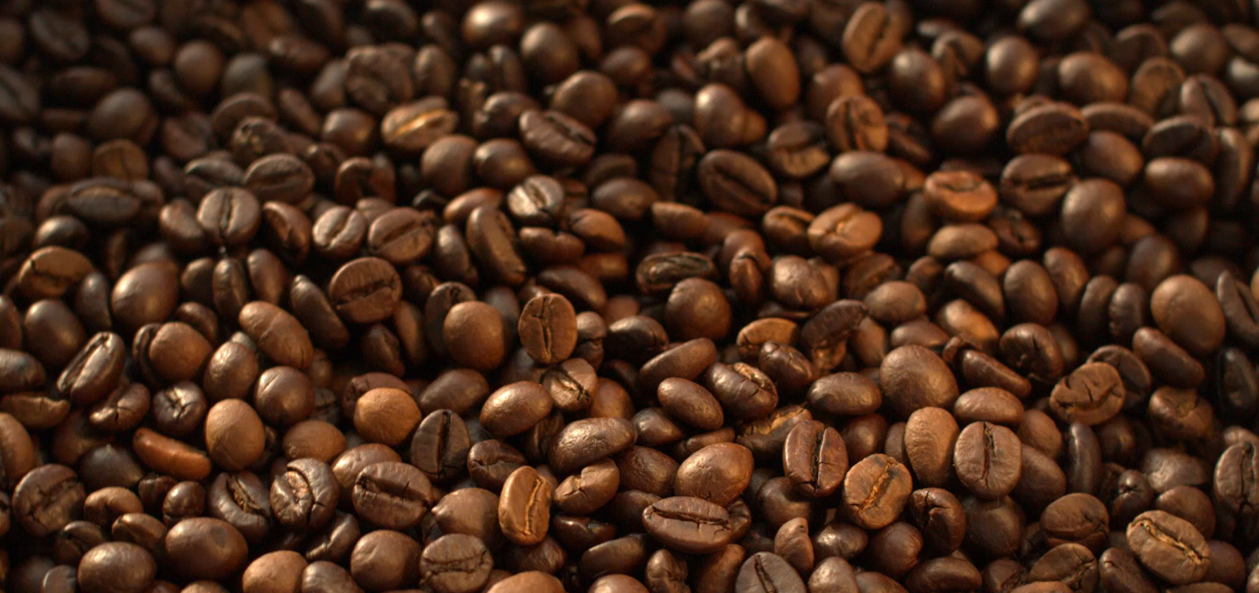 Sinds 1975 staat Van Zelst voor warmte en verbinding in elk koffiemome